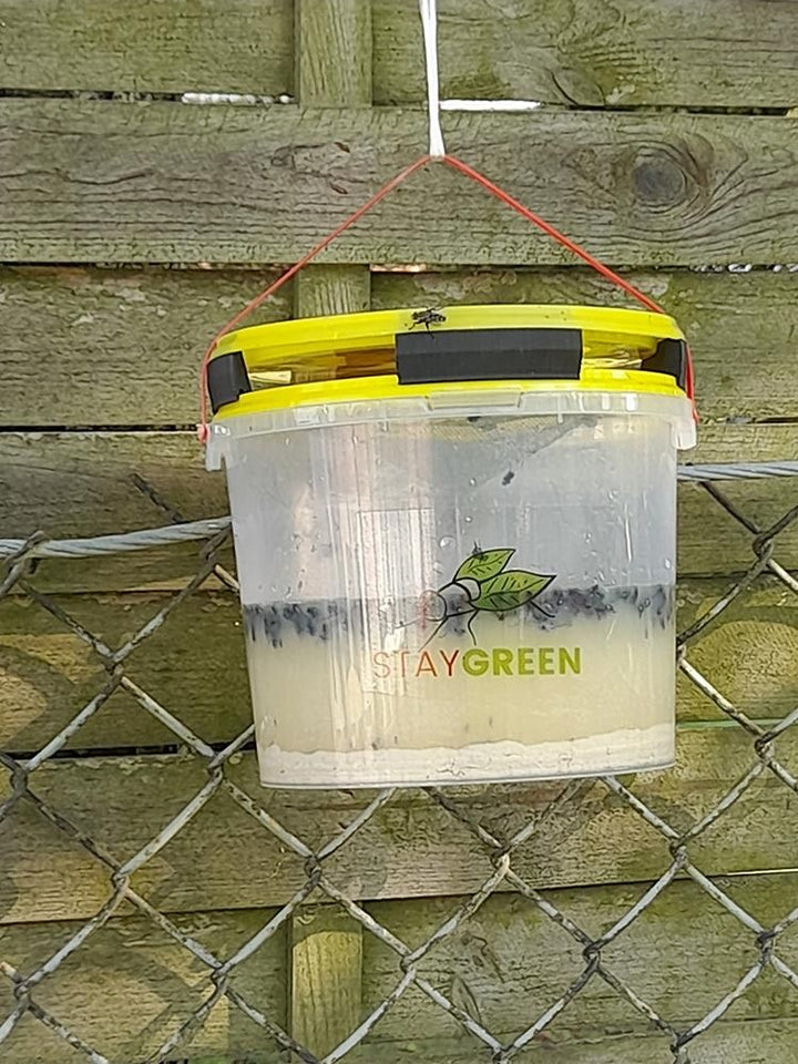 Skraidančių Vabzdžių Gaudyklė „Stay Green Fly Trap“ (Daugkartinė, natūralus jaukas)