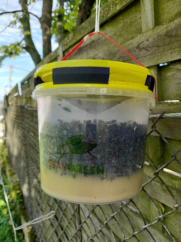 Pakeičiamas Jaukas Musgaudei „Stay Green“ (100 g)