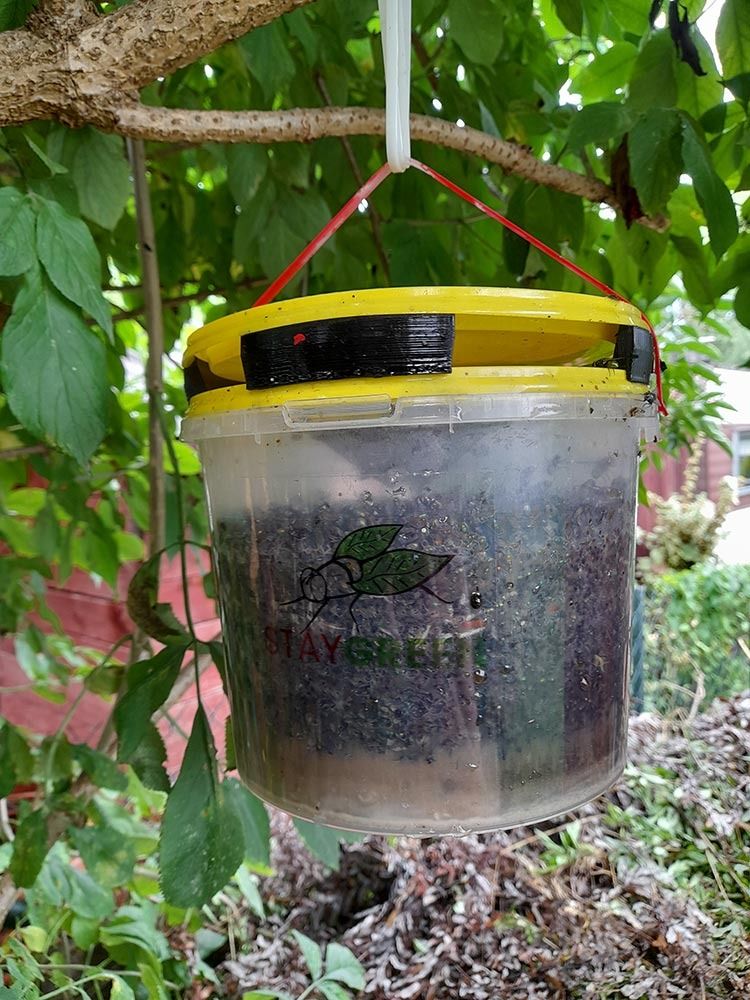 Pakeičiamas Jaukas Musgaudei „Stay Green“ (100 g)