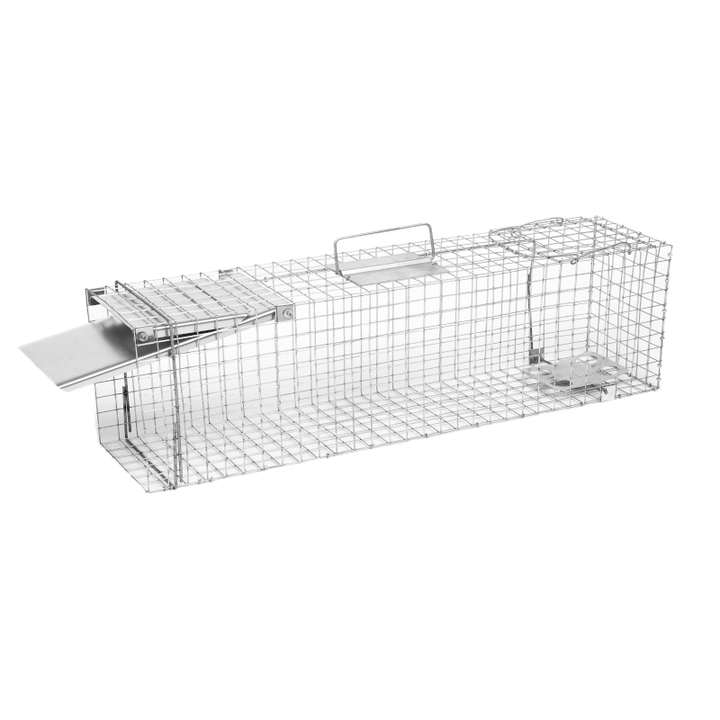 Gyva gaudyklė / Narvas