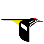 All About Birds