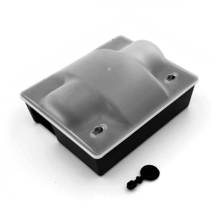 Dviguba masalo dėžutė su skaidriu dangteliu, 16 vnt.