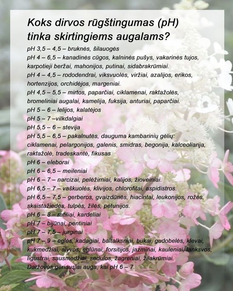 Dirvožemio rūgštintojas pH4 su mini laboratorija, 500 g
