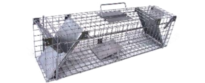 Gyva gaudyklė / Narvas