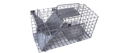 Gyva gaudyklė / Narvas