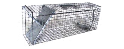 Gyva gaudyklė / Narvas