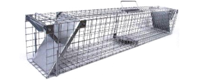 Gyva gaudyklė / Narvas