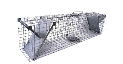 Gyva gaudyklė / Narvas