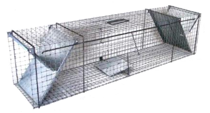 Gyva gaudyklė / Narvas