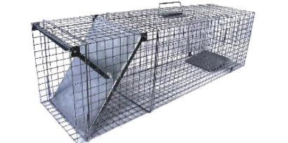 Gyva gaudyklė / Narvas