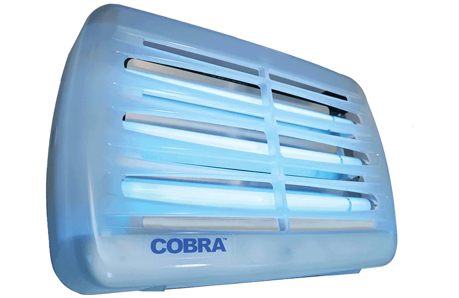 Digital Cobra LED