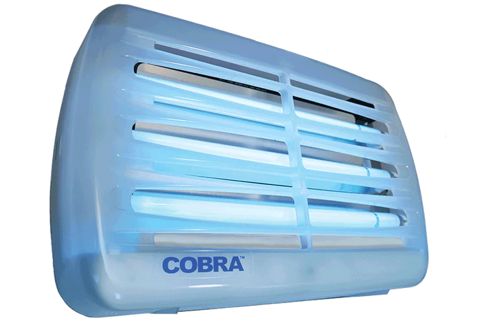 Digital Cobra LED