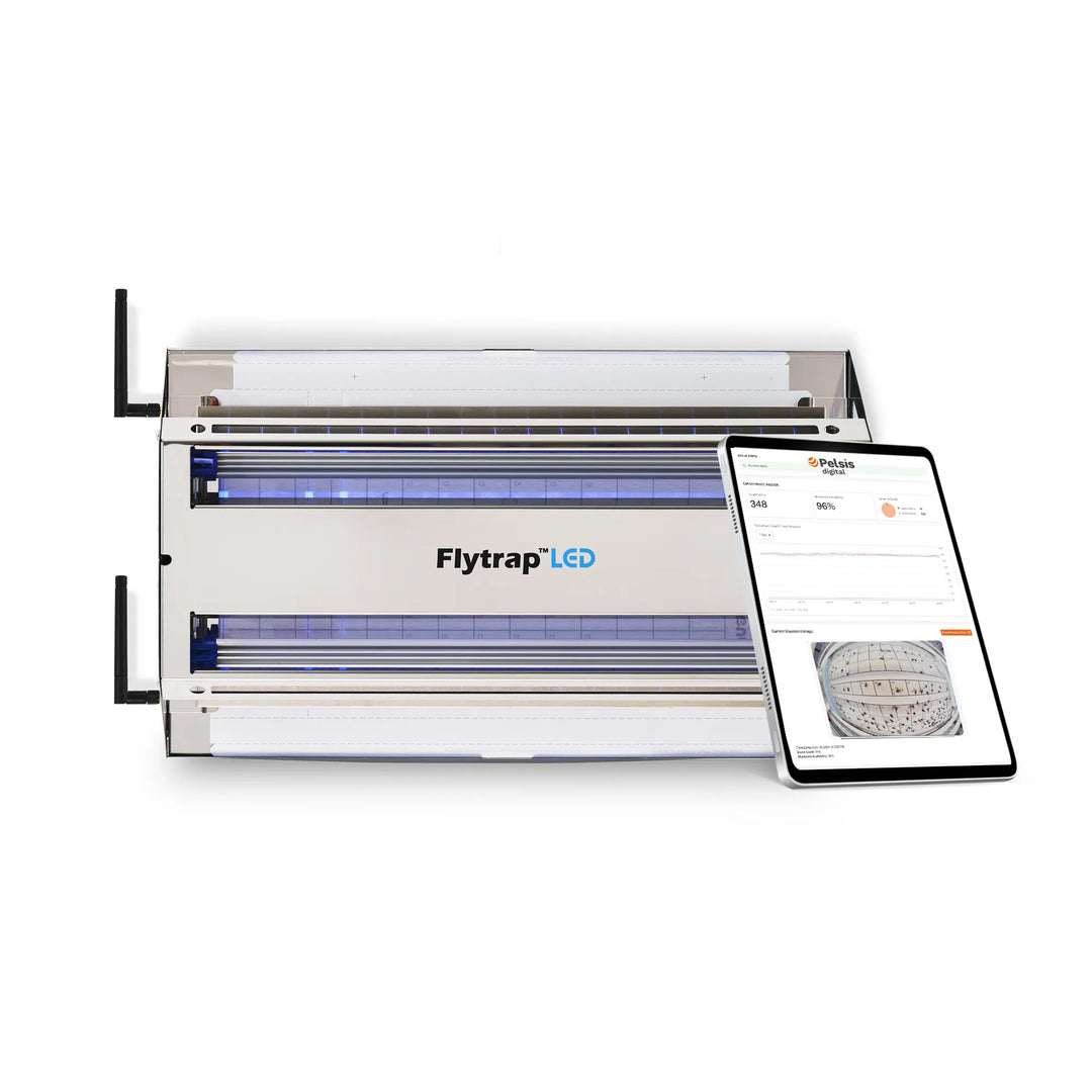 Digital FlyTrap 30 LED