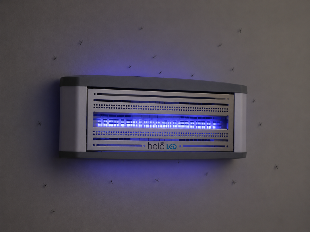 Halo LED 15 (Compact)