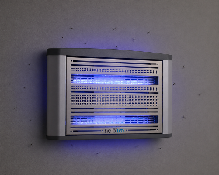 Halo LED 30 (Large)