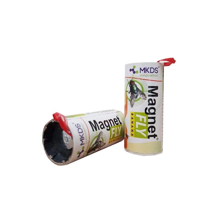 MAGNET FLY BANANA LIPNUS MUSGAUDIS, 1 VNT