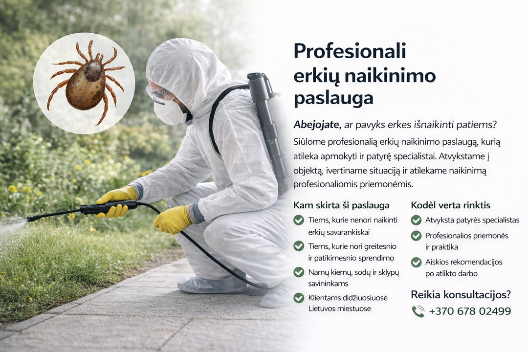 Profesionali erkių naikinimo paslauga