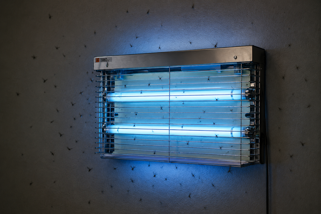 TRIO STEEL UV insekticidinė lempa