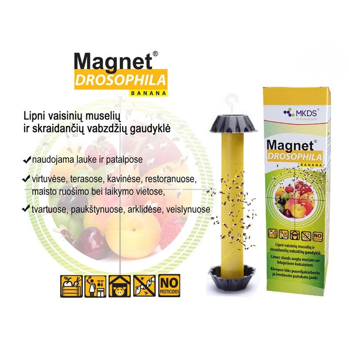 MAGNET DROSOPHILA VAISINIŲ MUSELIŲ GAUDYKLĖ, 1 VNT