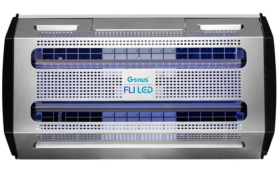Fli LED (2×18)