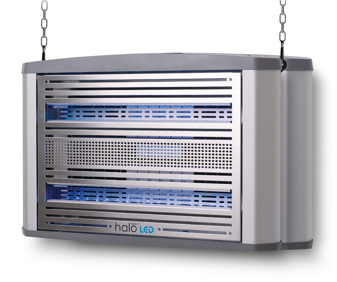 Halo LED 30 (Large)
