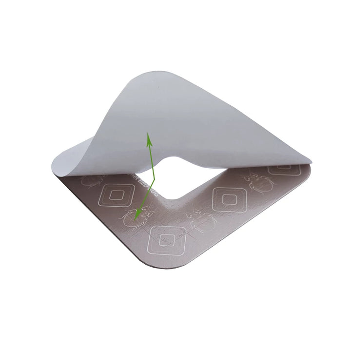 MAGNET BED BUG LIPNI GAUDYKLĖ PATALINĖMS BLAKĖMS, 4 VNT