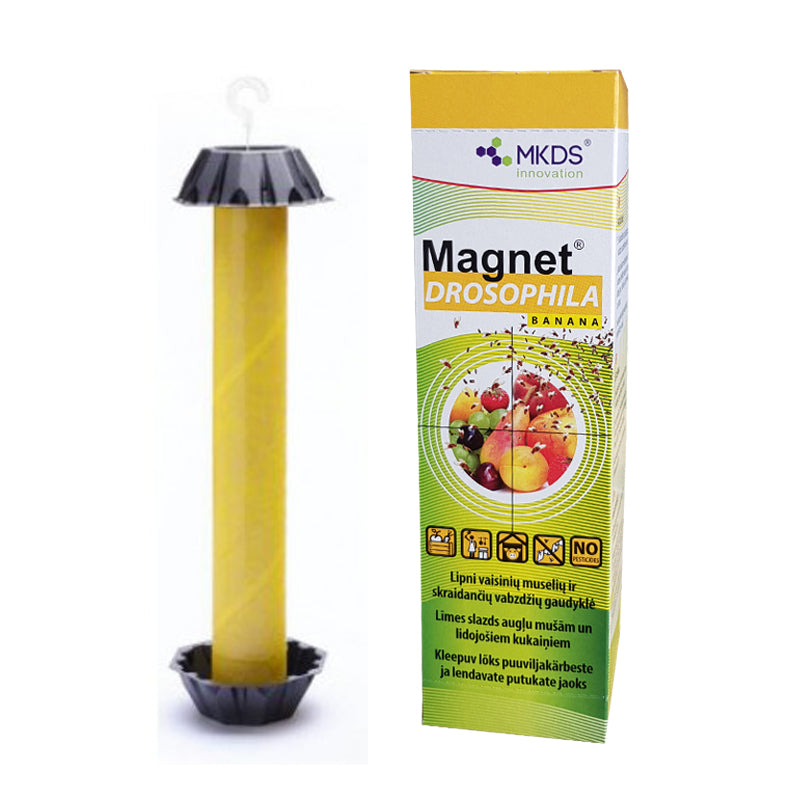 MAGNET DROSOPHILA VAISINIŲ MUSELIŲ GAUDYKLĖ, 1 VNT