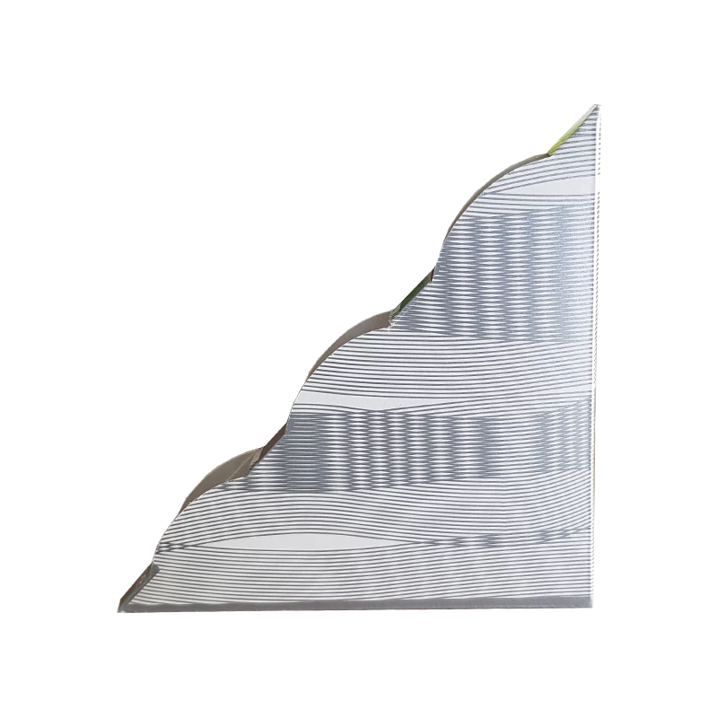 MAGNET FLY ELEGANT LIPNUS MUSGAUDIS, 2 VNT