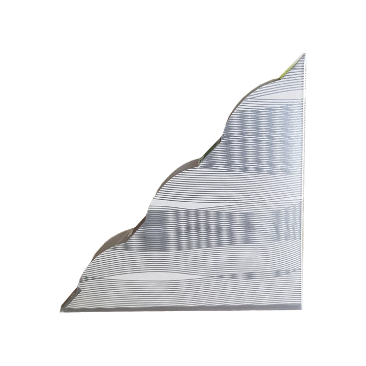 MAGNET FLY ELEGANT LIPNUS MUSGAUDIS, 2 VNT