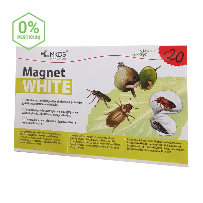 MINI Magnet white lipni gaudyklė kenkėjų monitoringui - (20 x 12 cm), 20 vnt.