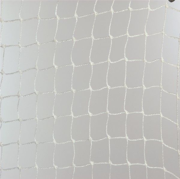 Paukščių tinklas, permatomas, polietilenas, 19mm