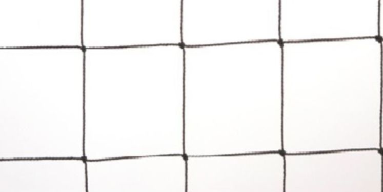 Paukščių tinklas, juodas, polietilenas, 50mm