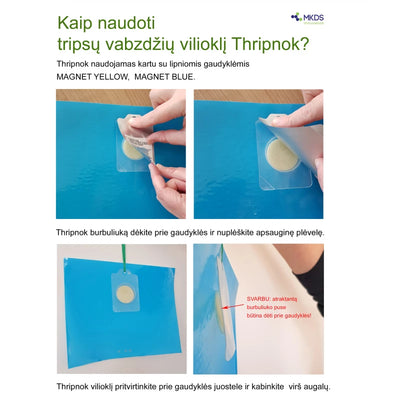 Tripsų vabzdžių vilioklis THRIPNOK, 1 vnt