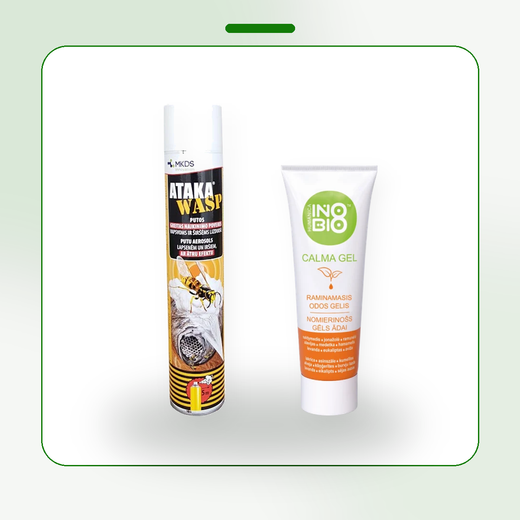 Wasp and Hornet Nest Destroyer Kit - for visible outdoor nests
